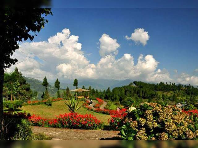 A Hidden Hill Town Where Orchids Bloom and Mountains Dream